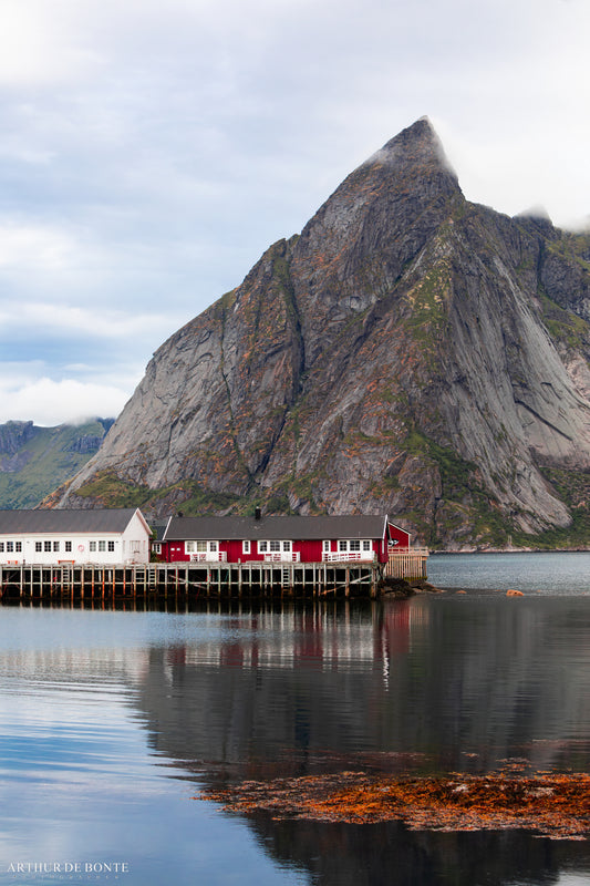 A wake up call in the Lofoten Islands